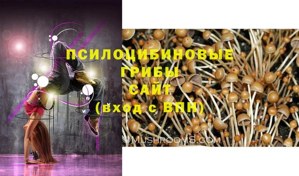 мефедрон Богородицк