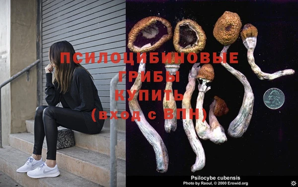 COCAINE Белокуриха
