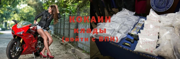 шишки Богданович
