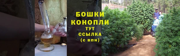 шишки Богданович