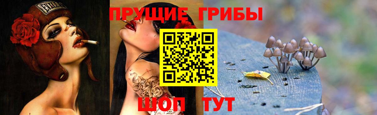 Обь  Псилоцибиновые грибы Magic Shrooms  Вход с VPN  купить закладку  Галлюциногенные грибы ЛСД 