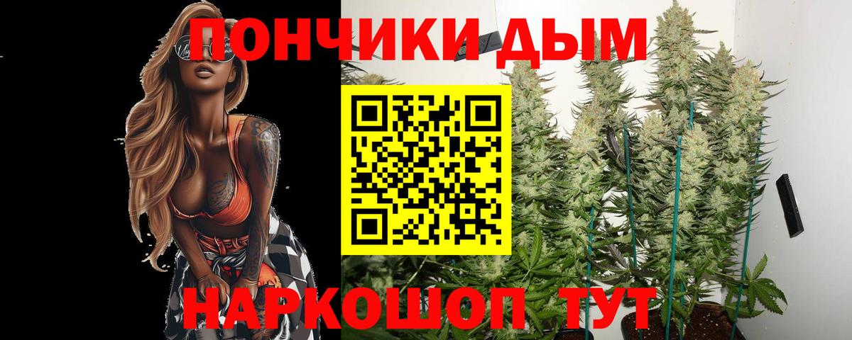 Канабис планчик  Бошки марихуана марихуана  Обь  МАРИХУАНА Bruce Banner  Вход с VPN 